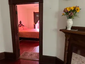 Spacious DWTN Victorian apt Duckpond - Image 4