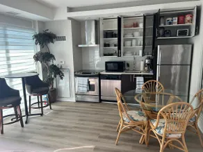 Lakeview Luxury Condo Suite - Image 3