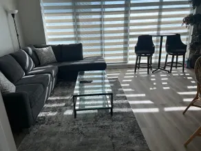 Lakeview Luxury Condo Suite - Image 2