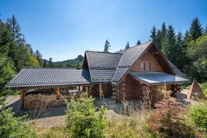 Wellness Drevenica Tale, pool table, up to 12 min to Ski Jasna, Ski Tale, Ski Myto - Image 2