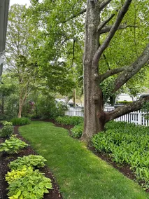 Charming home Walking distance to ferry & shops! - Image 4