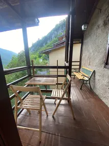 Peace and Nature - Image 3