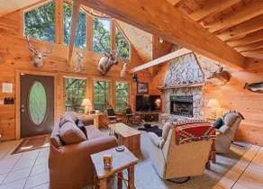 Bear Falls Lodge-Hot Tub, Waterfall, Game Room - Image 3