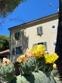 3 rooms on the 1st floor of a Grasse bastide - Image 3