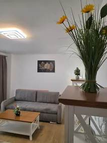 Apartament Relaxa Green 1 - Image 3