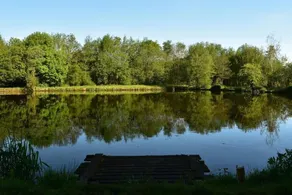 Goldie’s retreat - Image 5