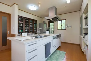 Green Garden: a spacious and beautiful rental with a dog run, BBQ area and fire pit - Image 4