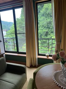 うぐいすハウス/12 people/near hot springs/グループ旅行/忘年会/2 buildingsまるごと/BBQ rental/ボドゲ/WiFi available - Image 4