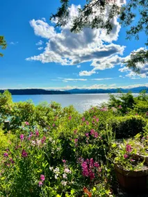 Belfair Hood Canal Waterfront Home w/Hot Tub - Image 5