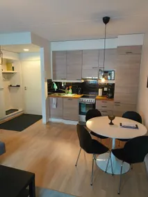 Nice two-room apartment, warm garage space, sauna, attic - Image 3