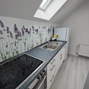 Northern Saxony, near Leipzig, modern, quiet apartment - Image 4