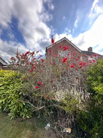 3 Bedroom Bungalow - Image 3
