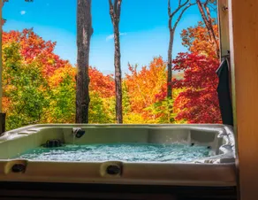 Spa Sanctuary | Massage Loft, Hot Tub & Long Views - Image 5