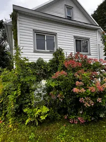 Peaceful Riverside home in town free parking - Image 3