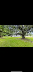 Large newly update 4Bed/3Bath - Image 3