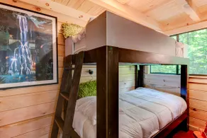 DuPont Cabin 2 with Hottub/Sauna - Image 4