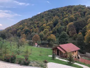 Dilijan in Forest - Image 3