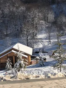Dilijan in Forest - Image 4
