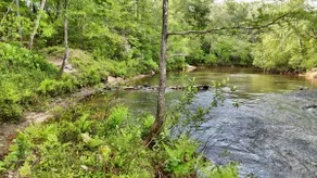 Riverside Retreat LLC. - Image 5