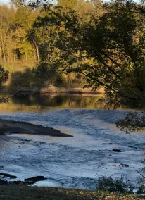 Studio Cabin on the North Fork River - Image 2