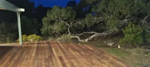 Kookaburra's Rest - Image 2