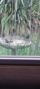 Kookaburra's Rest - Image 3