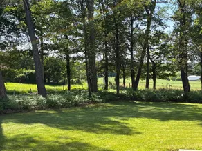 Le Petit Bois - Image 4