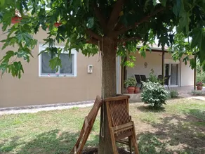 nest for rest - Image 4