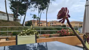 Terrace, Swimming Pool, Parking. Near Mouratoglou - Image 5