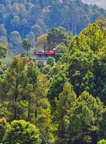 SakuraPines Entire Villa Kausani - Image 4