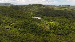 Sauna, Outdoor Bath & Farm Animals/Okinawa Villa - Image 3
