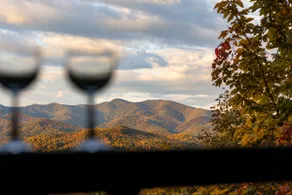 Cozy 2-bed cabin in Blairsville w/ AC, WiFi - Image 3