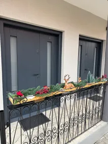 Casa Crisan - Image 3