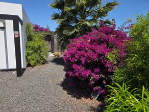 Casa Carica with heated pool in Lajares - Image 2