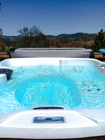 Dark Sky Retreat · 7 Private Acres · Spa · EV - Image 2