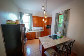Historic Bronzeville Wellness Retreat/Hot tub - Image 3