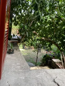 Green Heaven - Image 5