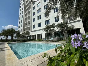 Stay Curious, Stay Here - Klang - Image 3