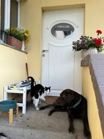 Attic apartment with a small yard near Berlin - Image 2