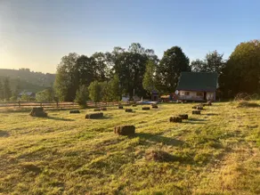 Transylvania Cabin-Cabana Racilor Mărișel - Image 2