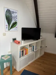 Duplex with nice balcony - Image 5