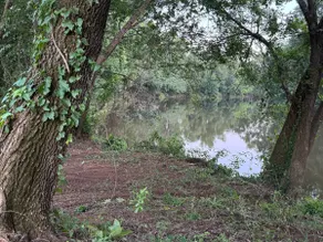 Riverview Retreat - Image 5
