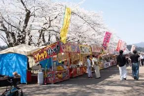 Vacation House Kawaraya 一棟貸切 ペットも泊まれる別荘 - Image 2