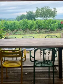 Villa vineyards & relaxation - counter-current swim spa - Image 5