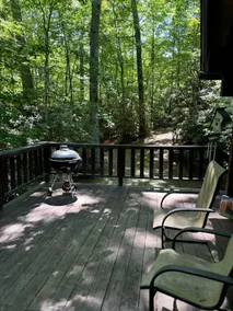 Papa Bears Cabin - Image 3
