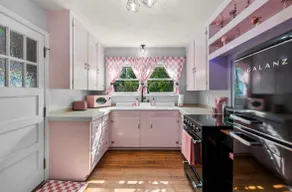 Pinky Promise House in Anoka, MN - Image 3