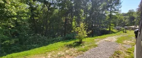 Whiskey Ridge Cabin- 7 min. ride to Wildcat Park - Image 5