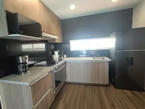 Veracruz Suite - Image 4