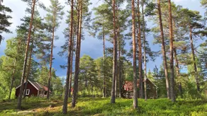 River idyll in the heart of Dalarnas - Image 2