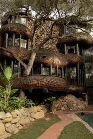 The Santa Barbara Whale House - Image 2